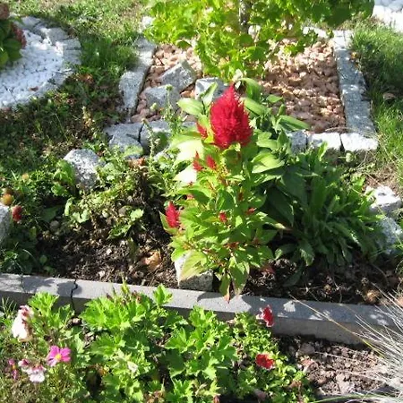 Diamanthaus Deluxe 7 Apartment Koblenz (Rhineland-Palatinate)