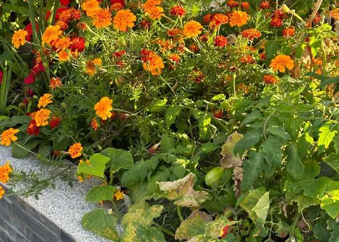 Diamanthaus Deluxe 7 Apartamento Coblenza